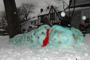 Multi-colored Snow Worm